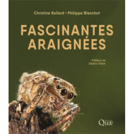 Fascinantes araignées