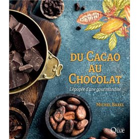 Du cacao au chocolat