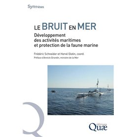 Le bruit en mer