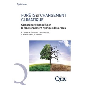 Forêts et changement climatique