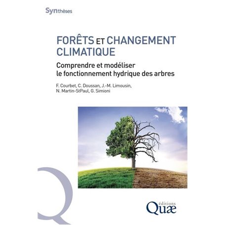 Forêts et changement climatique