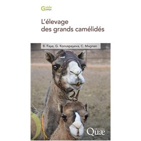 L'élevage des grands camélidés