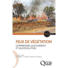 Feux de végétation