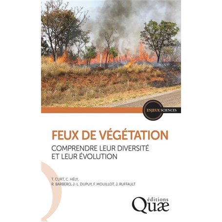 Feux de végétation