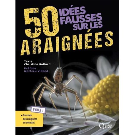 50 idées fausses sur les araignées