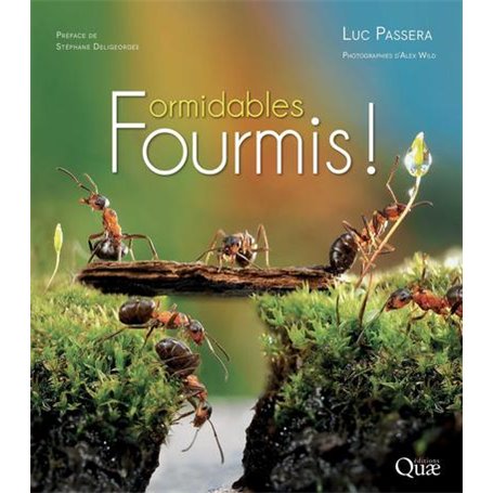 Formidables fourmis !