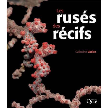 Les rusés des récifs