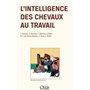 L'intelligence des chevaux au travail