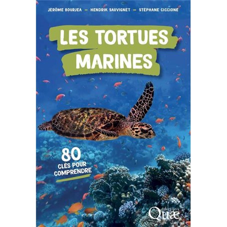 Les tortues marines