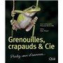 Grenouilles, crapauds et Cie