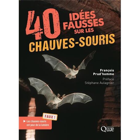 40 idées fausses sur les chauves-souris