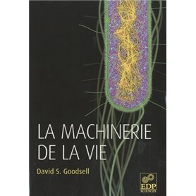 MACHINERIE DE LA VIE (LA)