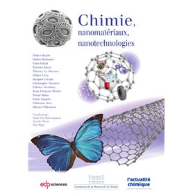 Chimie, nanomatériaux, nanotechnologies