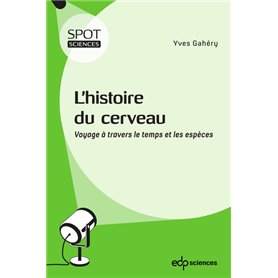 L'histoire du cerveau