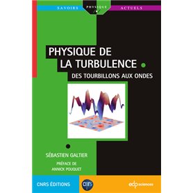 Physique de la turbulence