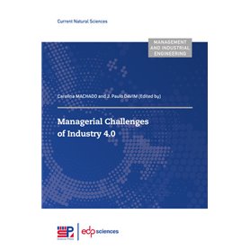 Managerial Challenges of Industry 4.0