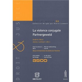 LA VIOLENCE CONJUGALE