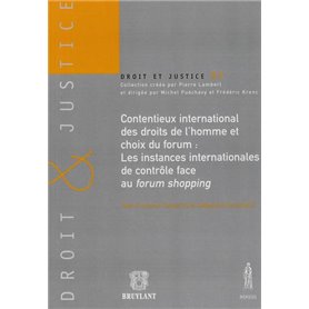 CONTENTIEUX INTERNATIONAL DES DROITS DE L'HOMME ET CHOIX DU FORUM : LES INSTANCE