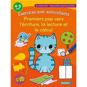 Exercices avec autocollants - Premiers pas vers l'écriture, la lecture et le calcul (4-5 a.)