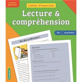 Cahier d'exercices lecture & compréhension (CE2 -3e primaire) (vert-orange)