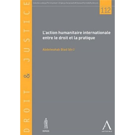 L'ACTION HUMANITAIRE INTERNATIONALE ENTRE LE DROIT ET LA PRATIQUE