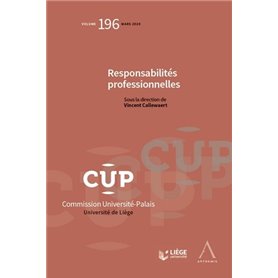 Responsabilités professionnelles