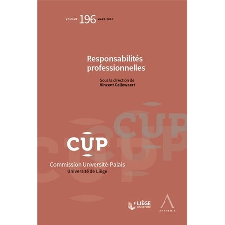 Responsabilités professionnelles