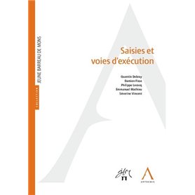 Saisies et voies d'exécution