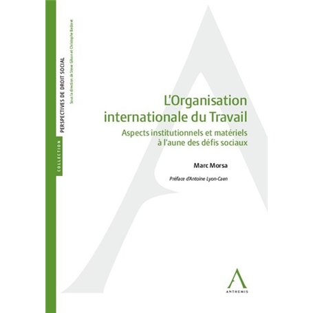 L'organisation internationale du Travail