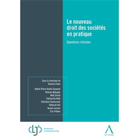 Le nouveau droit des sociétés en pratique