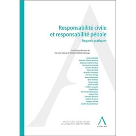 Responsabilité civile et responsabilité pénale