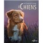 Le grand livre des chiens