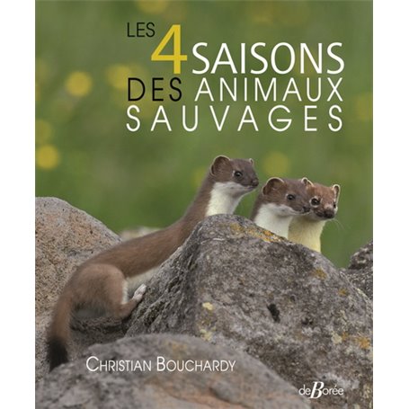 Les 4 saisons des animaux sauvages