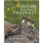 Les 4 saisons des animaux sauvages