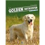 GOLDEN RETRIEVER (LE)