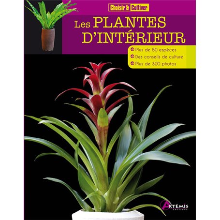 Les plantes d'intérieur