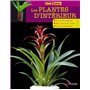 Les plantes d'intérieur