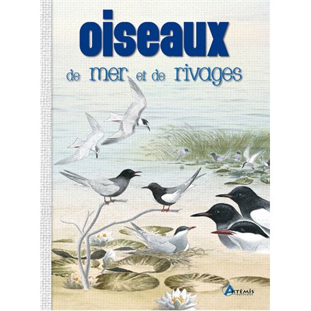 Oiseaux de mer et de rivages