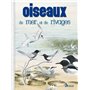 Oiseaux de mer et de rivages