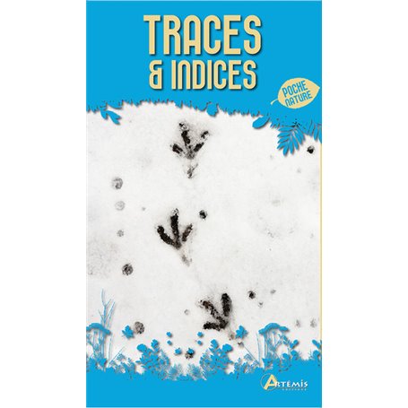 Traces & indices