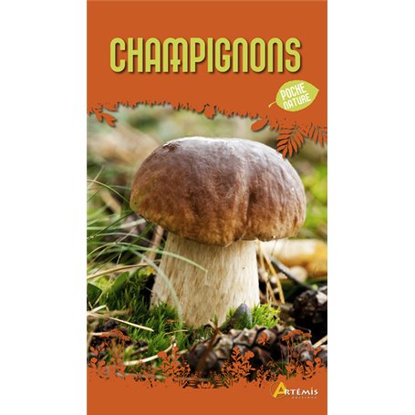 Champignons