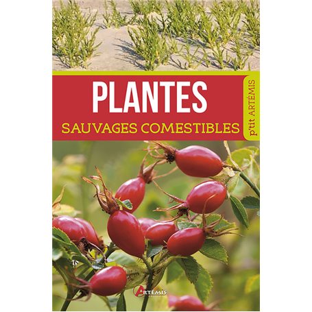 Plantes sauvages comestibles