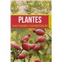 Plantes sauvages comestibles