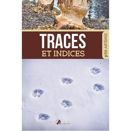 Traces et indices