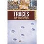 Traces et indices