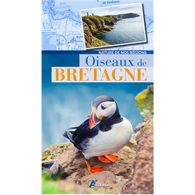 Oiseaux de Bretagne