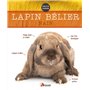 Lapin bélier nain