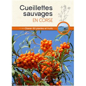 Cueillettes sauvages en Corse