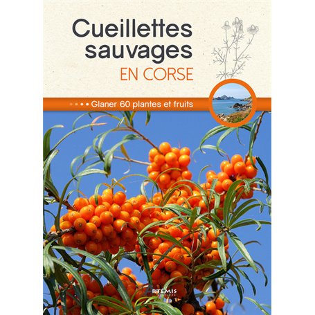 Cueillettes sauvages en Corse