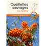 Cueillettes sauvages en Corse